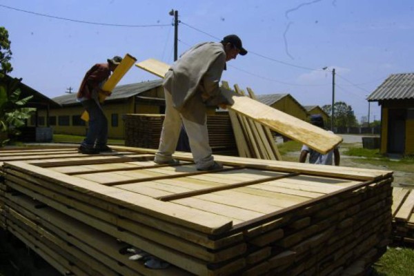 Exportarán madera no tradicional a Canadá