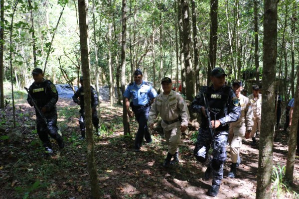 Equipo de fuerzas especiales busca a bióloga en montaña