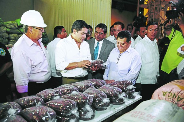 Gobierno hondureño interviene el Ihma por crisis de frijoles