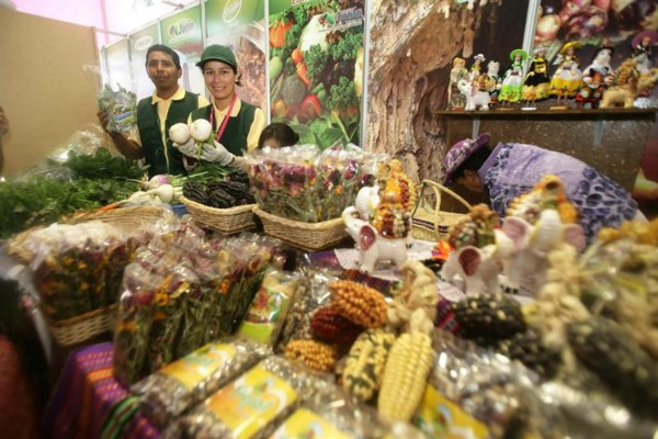 Cincuenta hondureños visitan la feria peruana Mistura