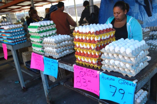 Engorroso proceso hace imposible envío de carne de pollo a EUA en 2015