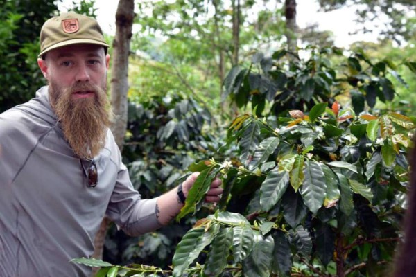 Más de 15,000 turistas esperan en feria de café de Santa Bárbara
