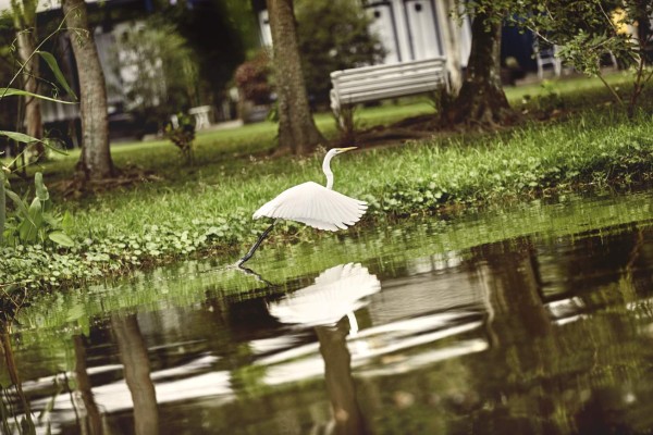 Hacienda Tara, una Reserva Natural en el corazón de San Pedro Sula