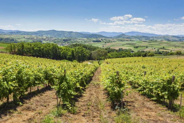 Conozca la atractiva ciudad de Serbia