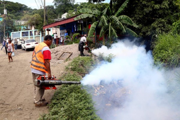 San Pedro Sula, un ejemplo a seguir: en 98% se reducen casos de zika