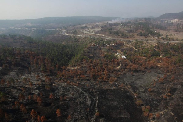 El 95% de incendios en Honduras los inician pirómanos