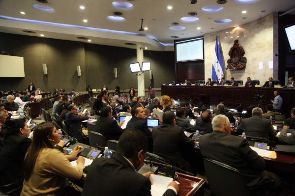 Piden que director de la Policía sea nombrado por concurso