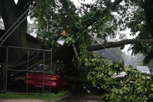 Lluvias y crecidas de ríos causan caos en varias zonas de San Pedro Sula