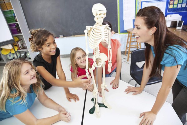 La importancia de los huesos: Superhéroes que sostienen tu cuerpo