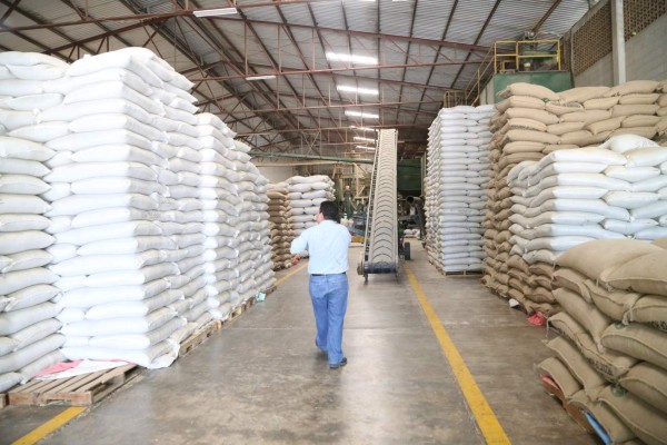 Primeras exportaciones de la cosecha 2017-2018 crecen un 18%