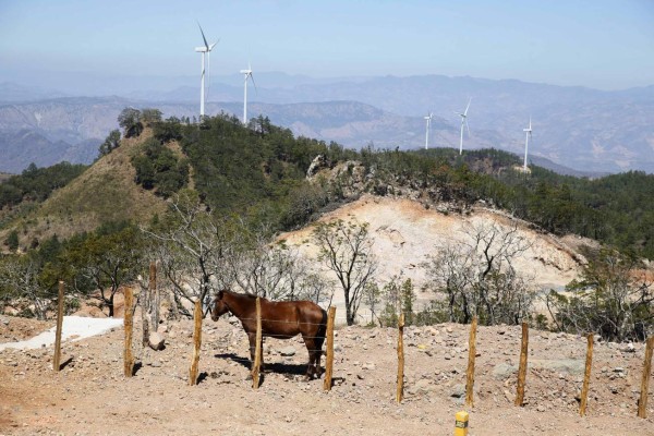 Empresarios de Austria se interesan en invertir en Centroamérica