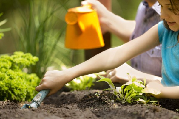 Decore con buen gusto los cuartos de las niñas
