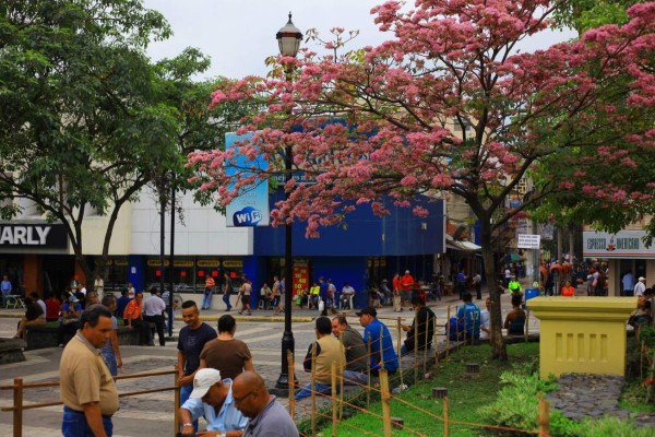 San Pedro Sula tendrá hoy temperatura mínima de 16 grados