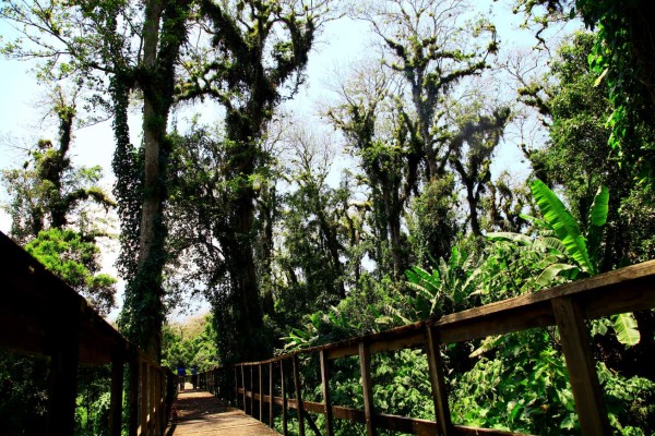 Lago de Yojoa, descanso y aventura extrema en Honduras