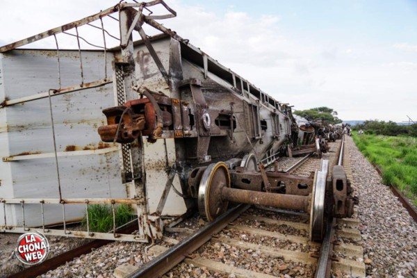 México: 12 hondureños salvan sus vidas al saltar de 'La Bestia'