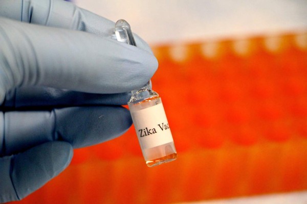 Una nueva vacuna experimental contra el Zika ofrece una protección potente