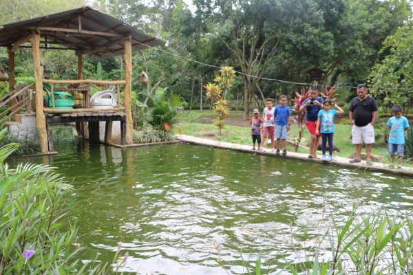 Naranjo Chino, un encanto natural en El Progreso