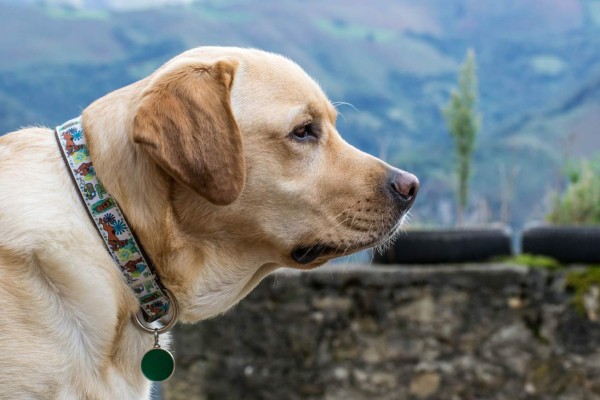 Cinco errores que no debe cometer