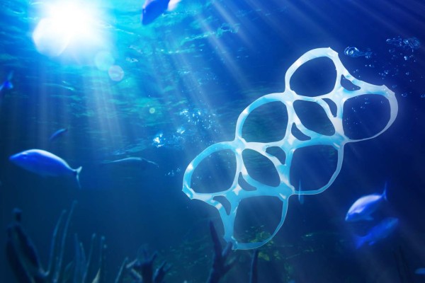 El plástico desplaza la vida marina