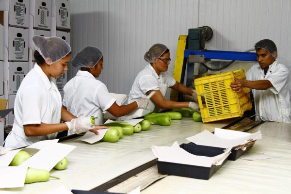 Oferta laboral crece en 50% en primeras dos semanas de 2016