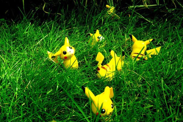 Encuentran a un 'Pikachu' real en los bosques de Honduras
