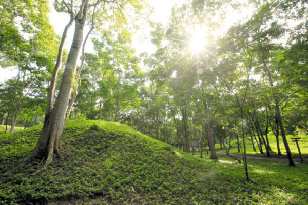 La Sabana de Currusté