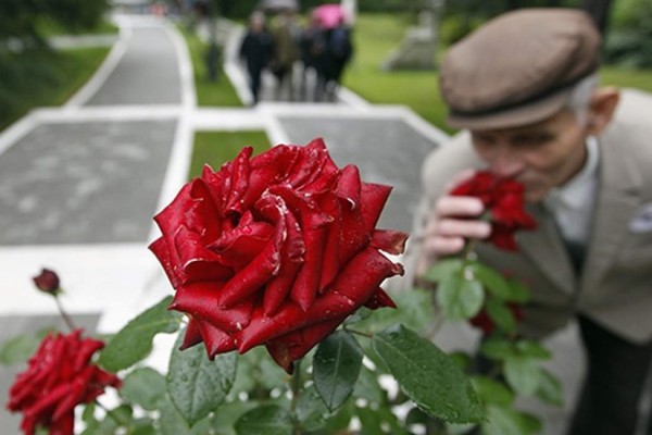Estudios confirman que es posible predecir cuándo uno morirá