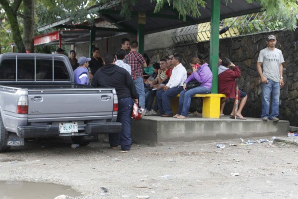 Matan a machetazos a productora de café para robarle su celular
