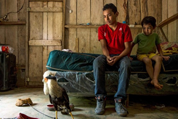Unicef muestra el 'sueño roto' de hondureño en viaje a EUA