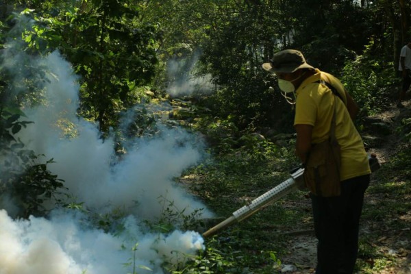 Limpian y fumigan zonas turísticas de San Pedro Sula
