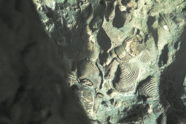 Las Cuevas de Talgua