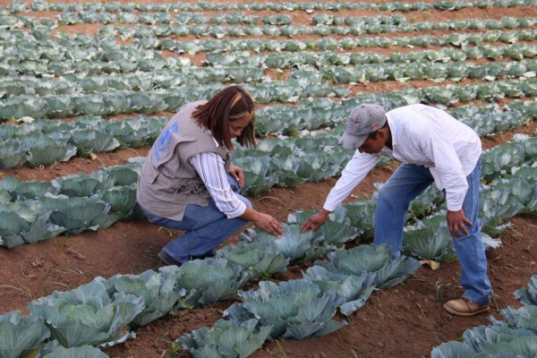 Piden más control de los recursos para enfrentar contingencias climáticas