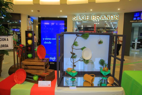 Exposición de la Federación de Clubes de Arte y Jardinería de Honduras