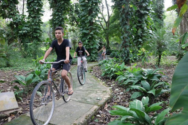 Naranjo Chino, un encanto natural en El Progreso