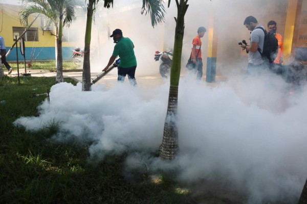 Dengue: más del 25% de las casas tienen larvas en San Pedro Sula