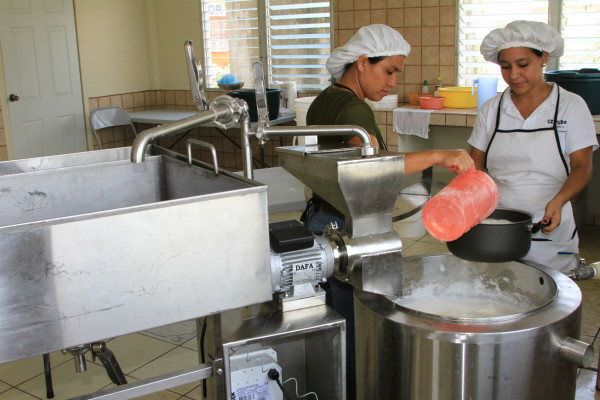 Con vaca mecánica darán leche a niños en Omoa