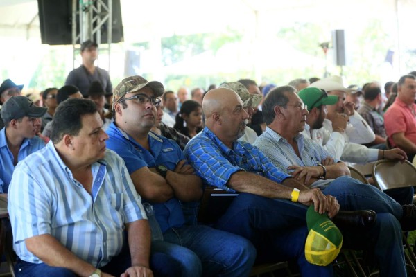 Mediante asistencia técnica impulsan ganadería de leche