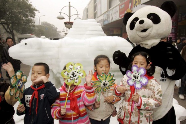 Oso panda gigante, el animal más famoso del mundo