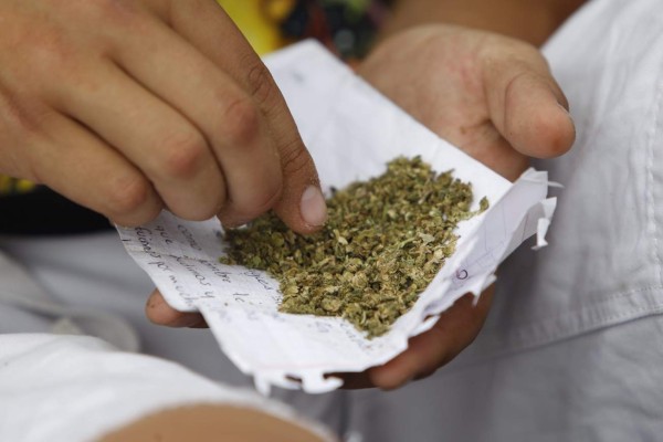 ONU: legalización del cannabis subestima riesgos