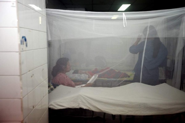Dengue, zika y chikungunya arrodillan a los hondureños