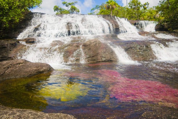 CONSIDERADO COMO EL RÍO MAS BONITO DEL MUNDO POR LOS COLOMBIANOS, CAÑO CRISTALES TIENE UNAS PLANTAS ACUÁTICAS QUE ÚNICAMENTE CRECEN EN TEMPORADA DE LLUVIA, QUE VAN CAMBIANDO DE COLORES A ROJIZAS, VERDES, ANARANJADAS, CAFÉ QUE AL MEZCLARSE CON LOS COLORES QUE TIENDEN HACIA AMARILLOS Y AZULES DEL RÍO CREAN UN ESPECTÁCULO NATURAL