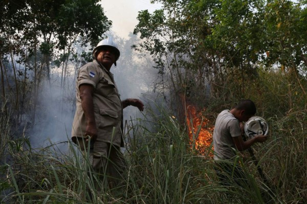 Guardas forestales y los bomberos protegen cerros
