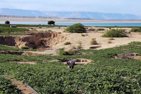 El sueño de salvar el mar Muerto con agua del mar Rojo está más cerca que nunca