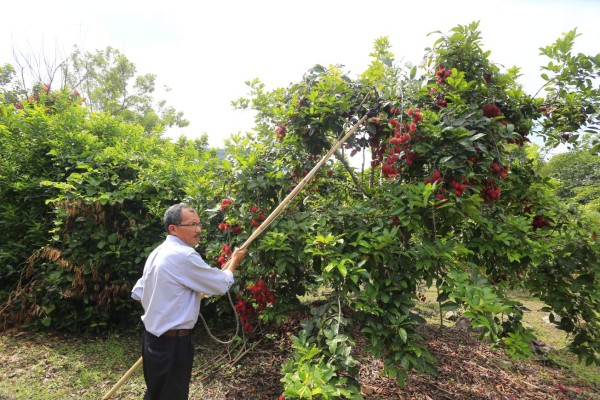 Resiliencia: agricultura inteligente impulsa a productores