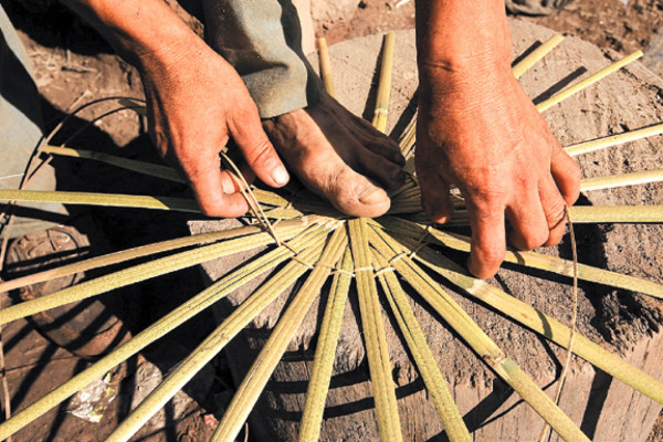 La Montaña de La Flor