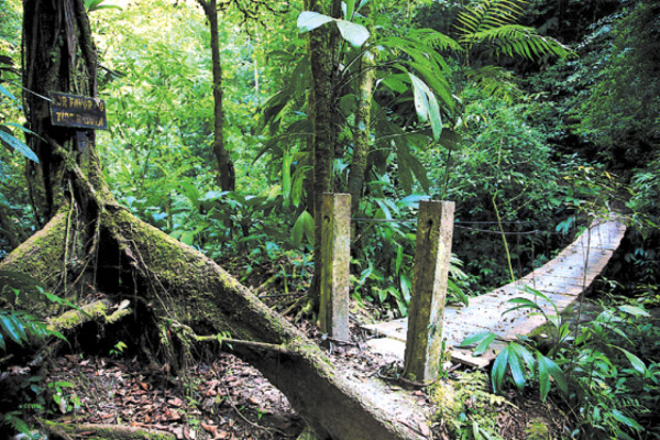 Panacam, ejemplo de protección al ambiente