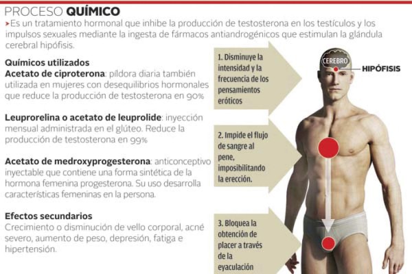 Congreso Nacional estudia reforma penal para castrar a violadores