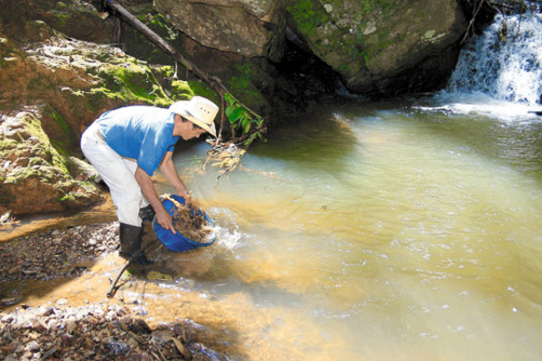 Escarban los ríos para hallar oro