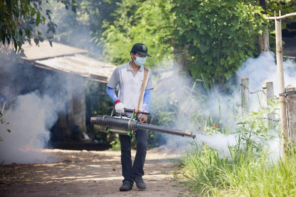 Crean un test para detectar el dengue mediante una pieza de ADN
