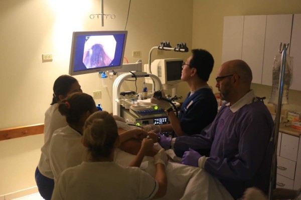 Utilizan nuevas técnicas para extirpar cáncer de estómago